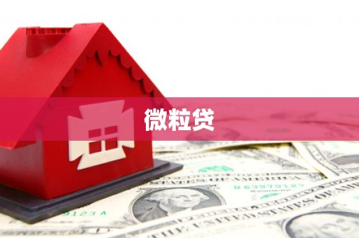 玛家微粒贷