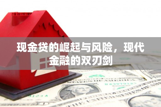 玛家现金贷的崛起与风险，现代金融的双刃剑