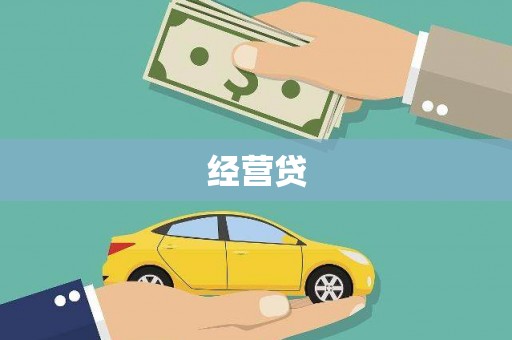 玛家经营贷