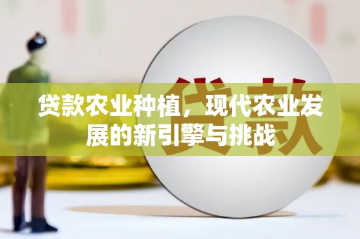 玛家贷款农业种植，现代农业发展的新引擎与挑战