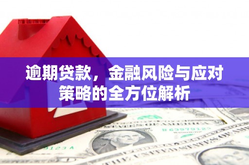 玛家逾期贷款，金融风险与应对策略的全方位解析