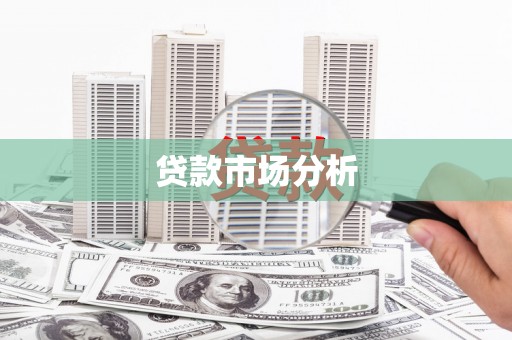 玛家贷款市场分析