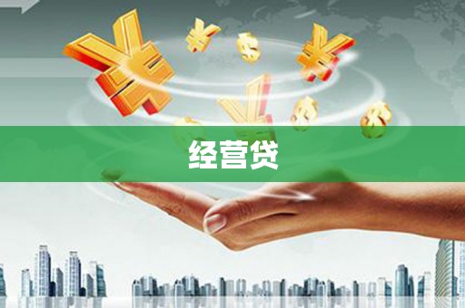 玛家经营贷