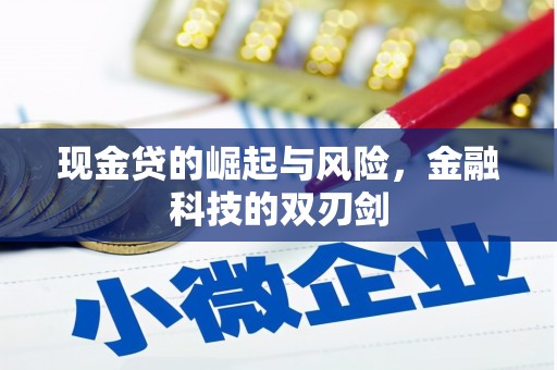 玛家现金贷的崛起与风险，金融科技的双刃剑