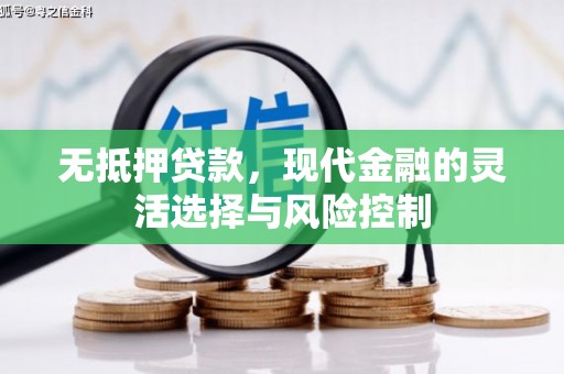 玛家无抵押贷款，现代金融的灵活选择与风险控制