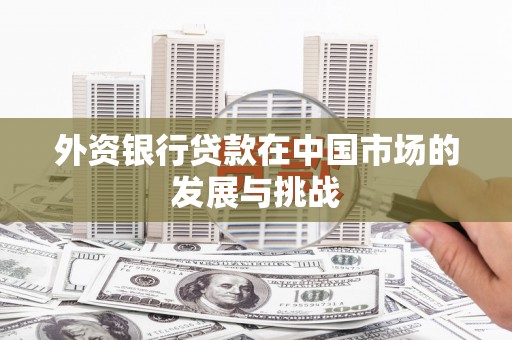 玛家外资银行贷款在中国市场的发展与挑战