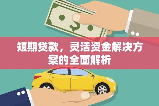 玛家短期贷款，灵活资金解决方案的全面解析