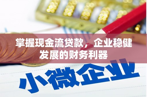 玛家掌握现金流贷款，企业稳健发展的财务利器