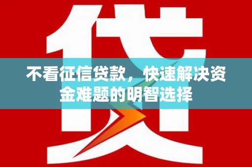 玛家不看征信贷款，快速解决资金难题的明智选择