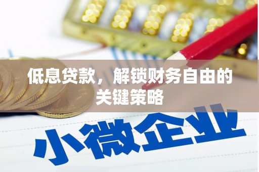 玛家低息贷款，解锁财务自由的关键策略