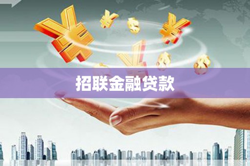 玛家招联金融贷款