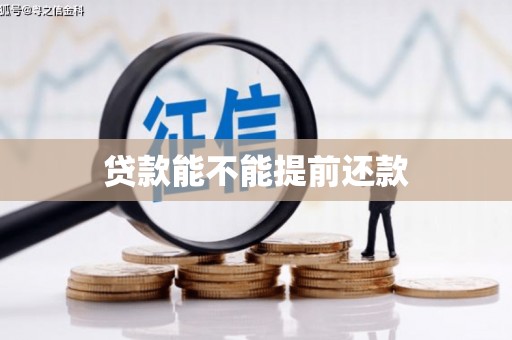 玛家贷款能不能提前还款