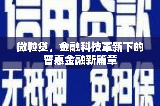 玛家微粒贷，金融科技革新下的普惠金融新篇章