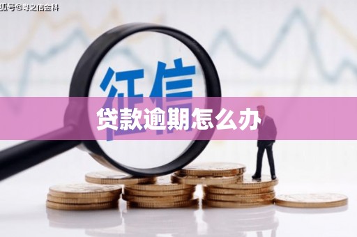 玛家贷款逾期怎么办
