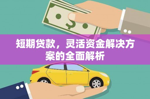 玛家短期贷款，灵活资金解决方案的全面解析