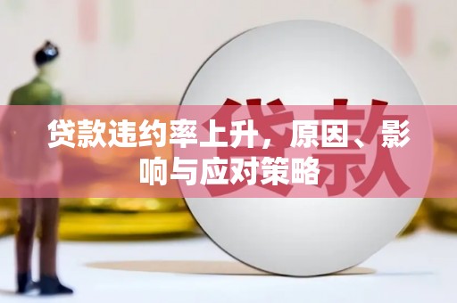 玛家贷款违约率上升，原因、影响与应对策略