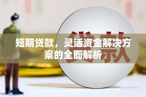 玛家短期贷款，灵活资金解决方案的全面解析