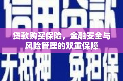 玛家贷款购买保险，金融安全与风险管理的双重保障