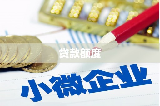 玛家贷款额度