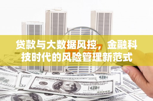 玛家贷款与大数据风控，金融科技时代的风险管理新范式