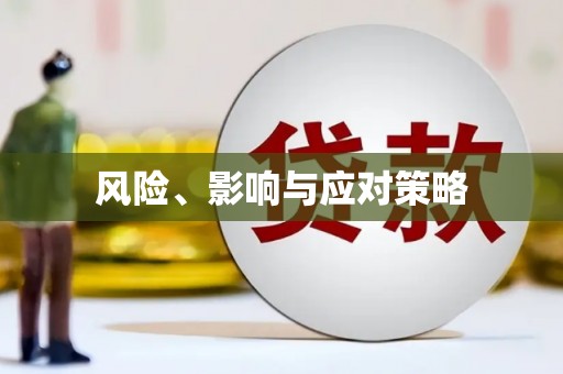 玛家风险、影响与应对策略