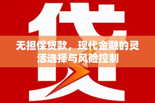 玛家无担保贷款，现代金融的灵活选择与风险控制
