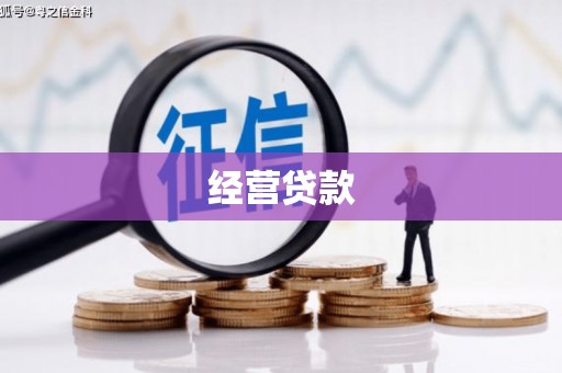 玛家经营贷款