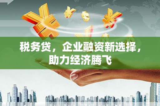 玛家税务贷，企业融资新选择，助力经济腾飞