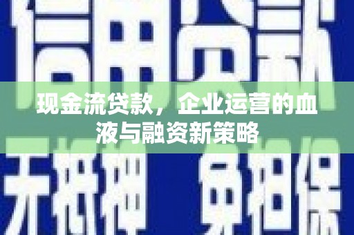 玛家现金流贷款，企业运营的血液与融资新策略