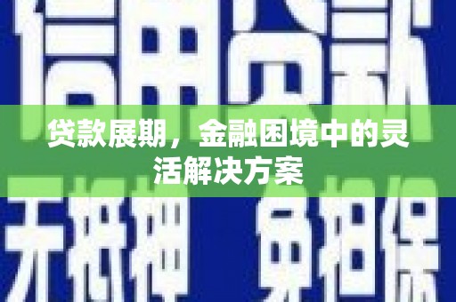 玛家贷款展期，金融困境中的灵活解决方案