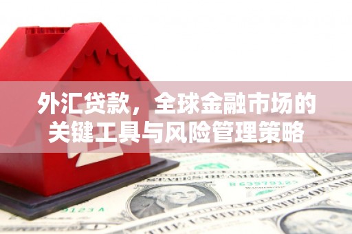 玛家外汇贷款，全球金融市场的关键工具与风险管理策略