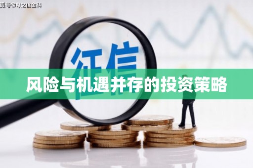 玛家风险与机遇并存的投资策略