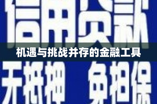 玛家机遇与挑战并存的金融工具