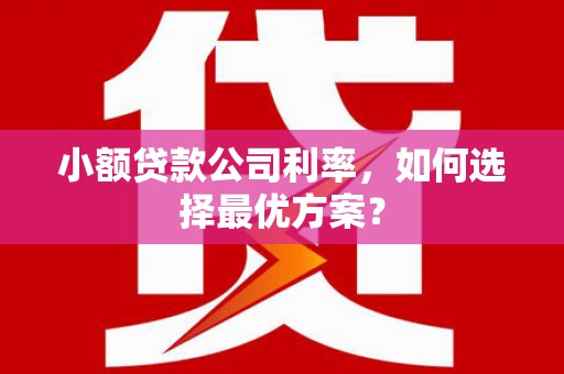 玛家小额贷款公司利率，如何选择最优方案？