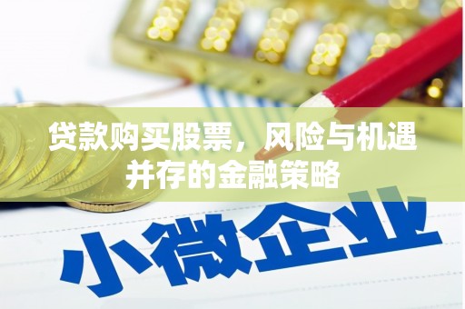 玛家贷款购买股票，风险与机遇并存的金融策略