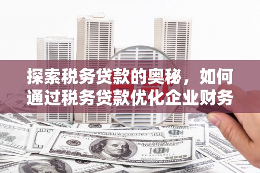 玛家探索税务贷款的奥秘，如何通过税务贷款优化企业财务