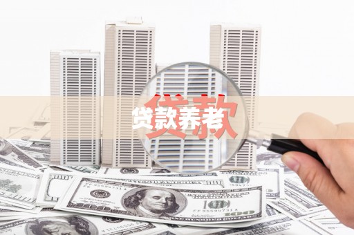 玛家贷款养老