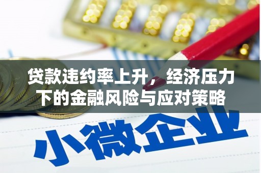 玛家贷款违约率上升，经济压力下的金融风险与应对策略