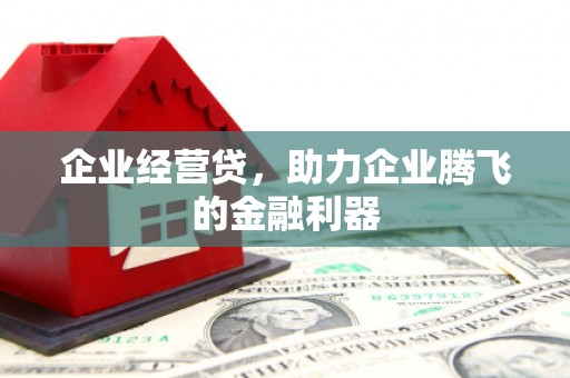 玛家企业经营贷，助力企业腾飞的金融利器