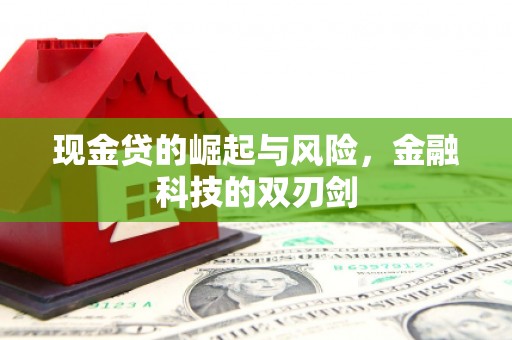 玛家现金贷的崛起与风险，金融科技的双刃剑