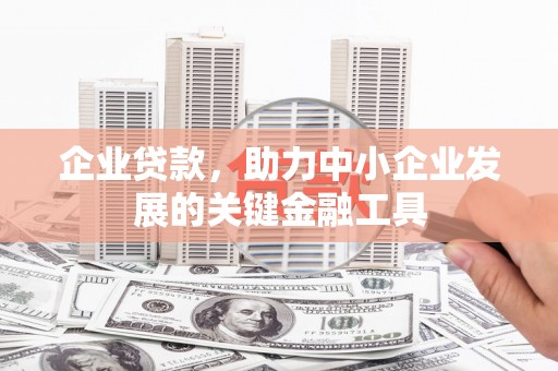 玛家企业贷款，助力中小企业发展的关键金融工具