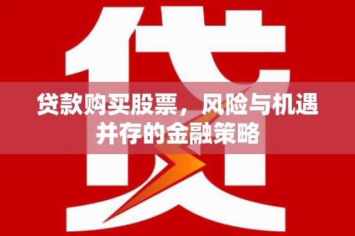 玛家贷款购买股票，风险与机遇并存的金融策略