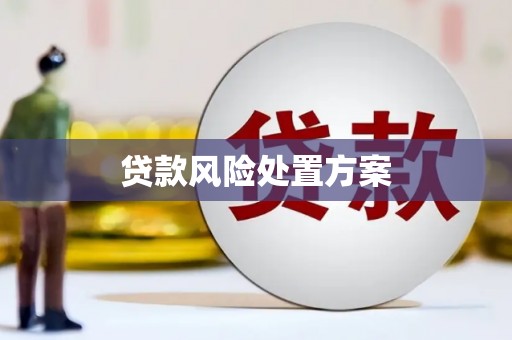玛家贷款风险处置方案