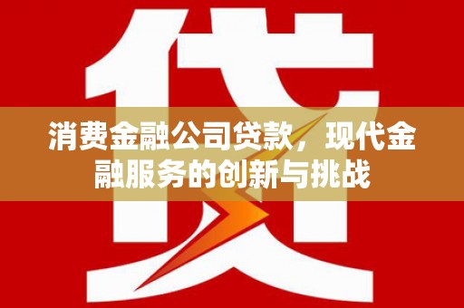 玛家消费金融公司贷款，现代金融服务的创新与挑战