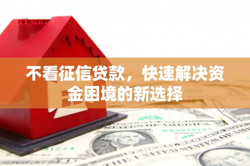 玛家不看征信贷款，快速解决资金困境的新选择