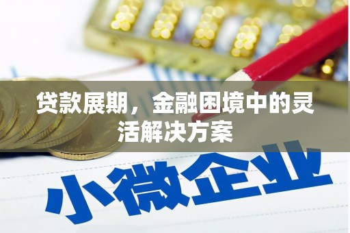 玛家贷款展期，金融困境中的灵活解决方案