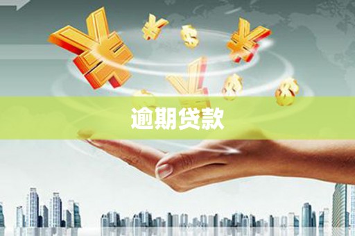 玛家逾期贷款