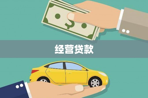 玛家经营贷款