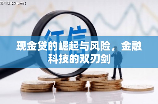 玛家现金贷的崛起与风险，金融科技的双刃剑