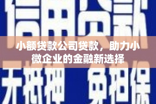 玛家小额贷款公司贷款，助力小微企业的金融新选择